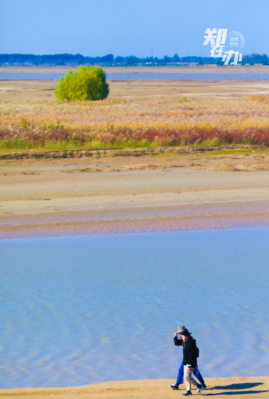 郑州哪个地方最适合春游,3月春游好去处郑州