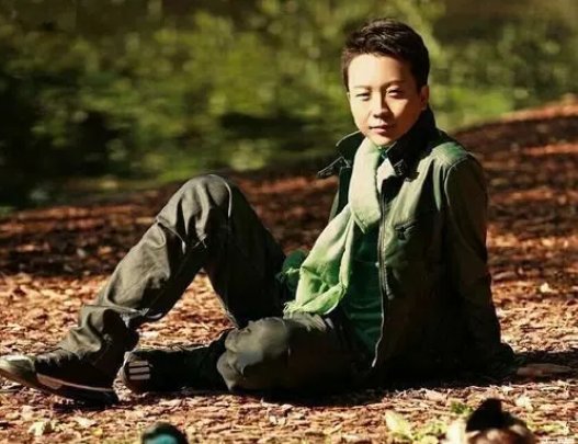 李玉刚经历过哪些事,李玉刚经历了什么