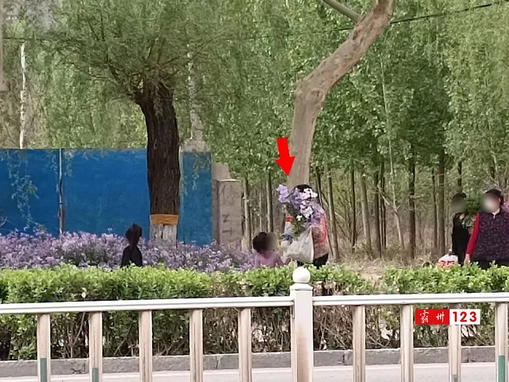 霸州市最美的美景,霸州市美景