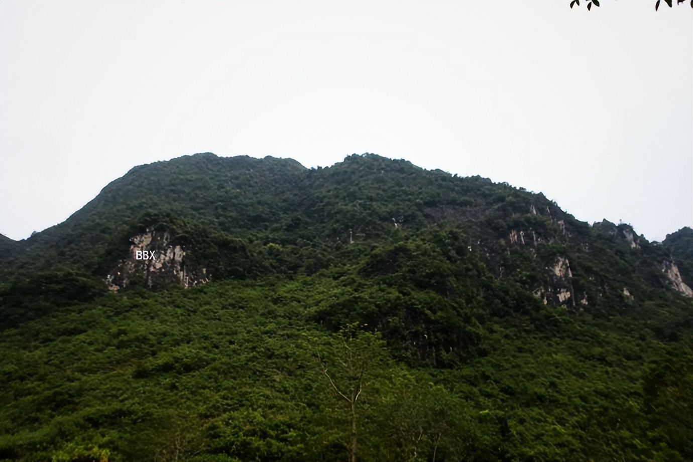 中越边境越南的露天集市,高平集市