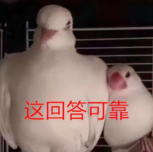 皮肤粗糙暗沉毛孔粗大怎么改善,改善皮肤毛孔粗大变白的洗面奶