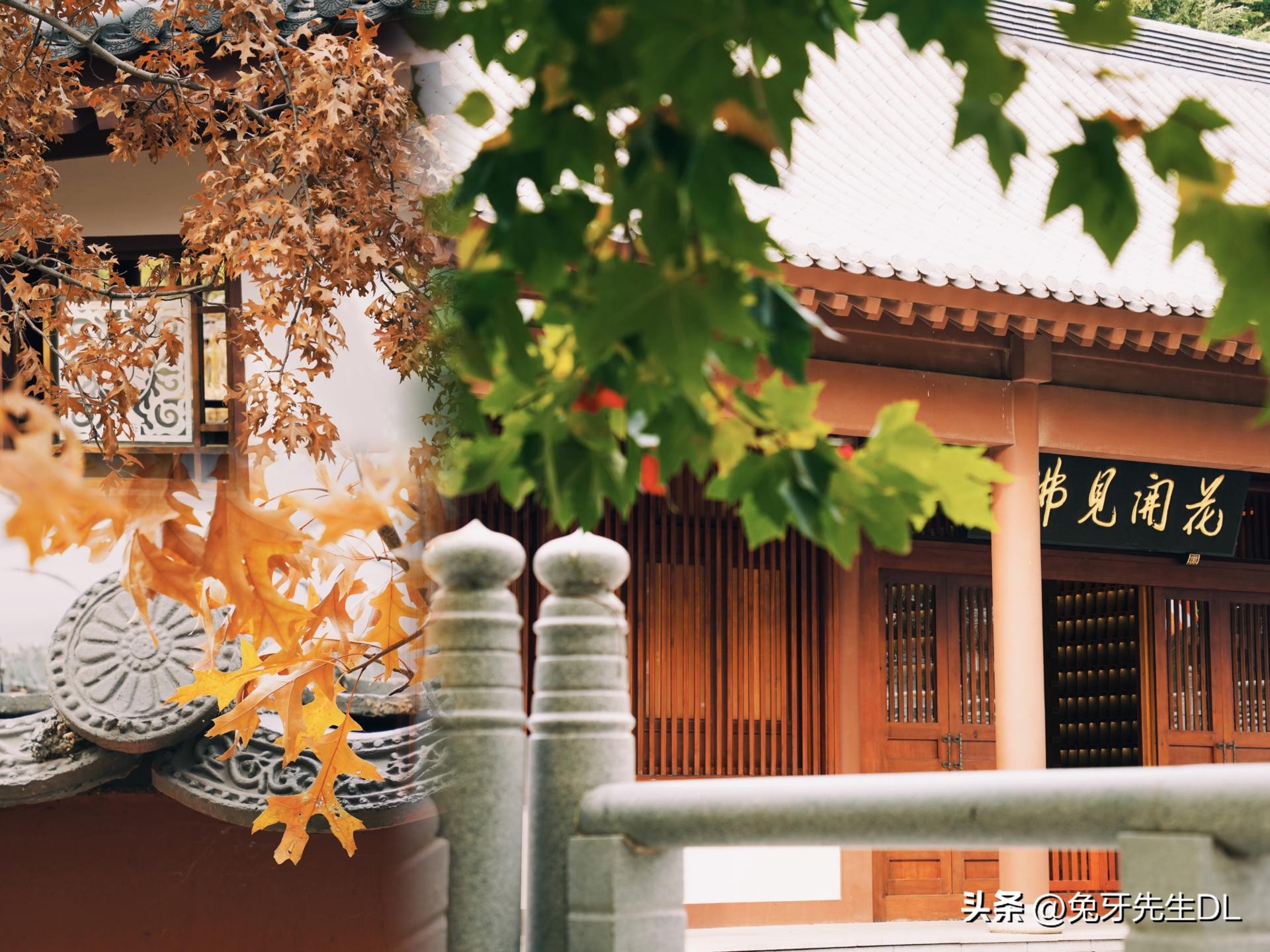 超级喜欢吃米饭,东芝电饭煲rc-10hpc测评