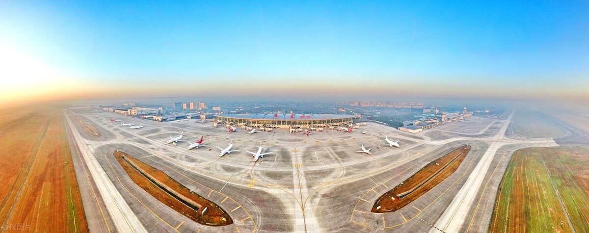 真正的中国国花是什么花,中国的国花是什么花官方认证