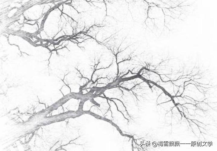 长篇当代军旅小说《军之恋·清冬栀子》（35）