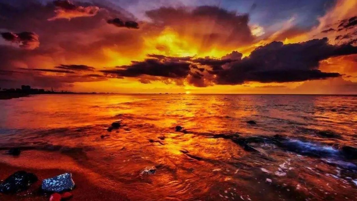 最大的红海巨蟒的力气有多大,中国十大最恐怖的巨蛇巨蟒