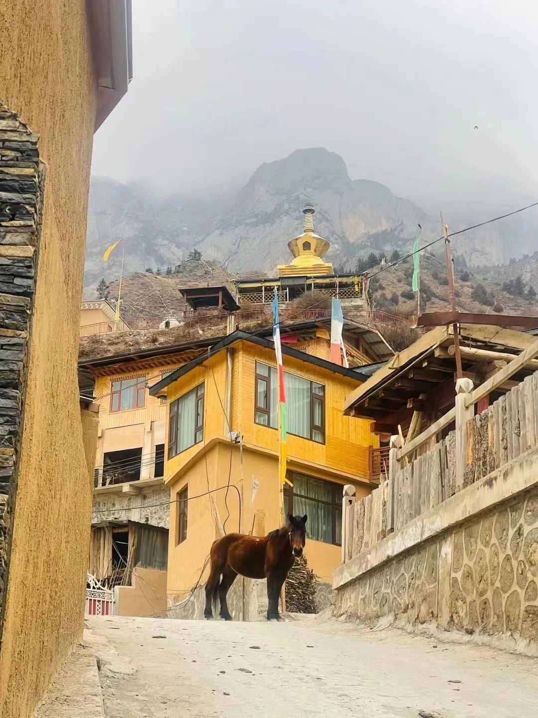 都去挤*疆新**？我选这个20°C的西北秘境