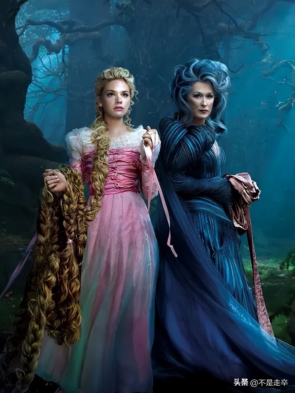 黑暗森林中的奇幻冒险,魔法黑森林看法