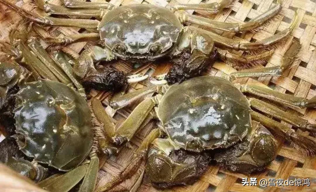 你一顿能吃多少个饺子啊,你一顿能吃几个馒头