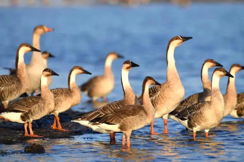 周末去哪玩推荐沈阳,周一游玩沈阳攻略