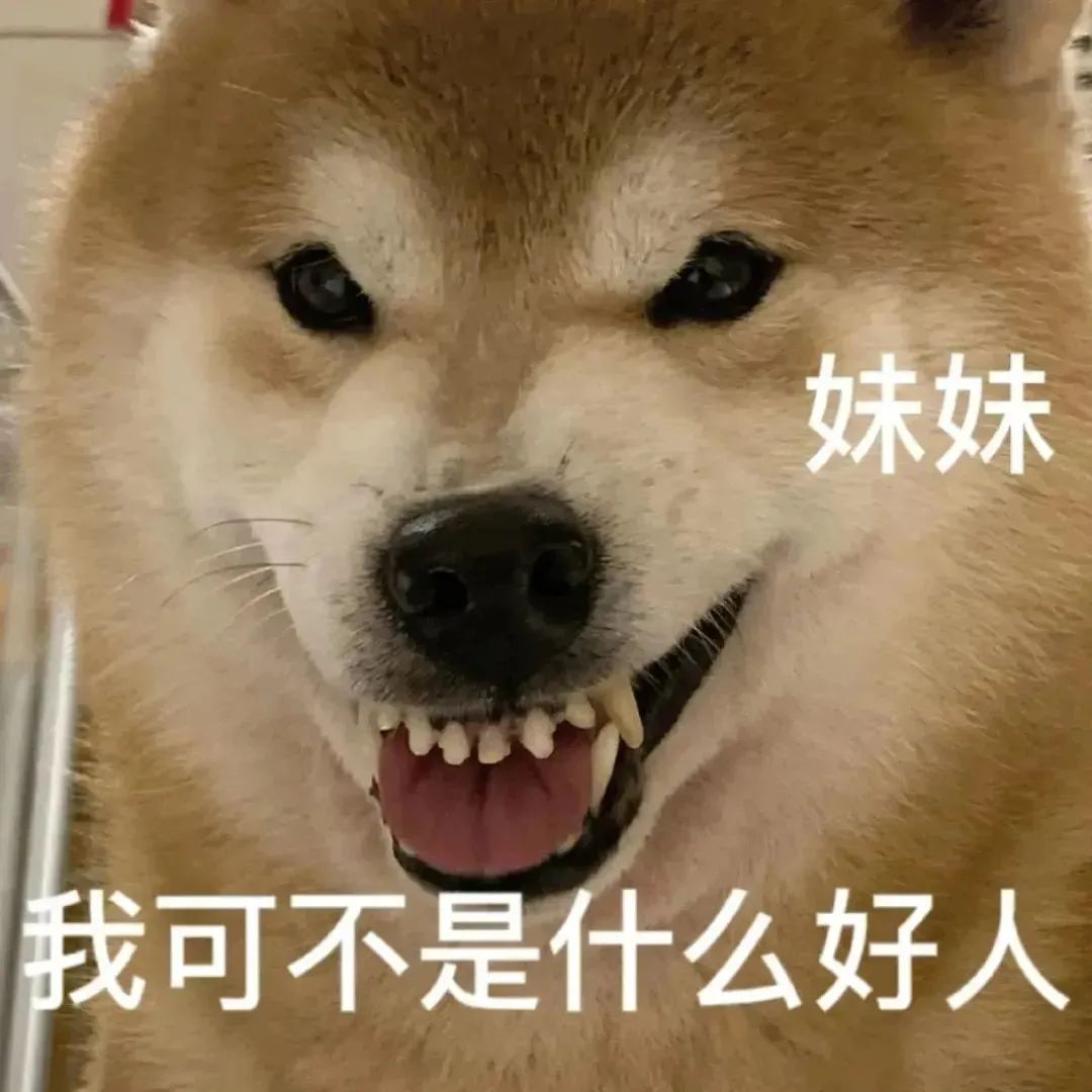 但凡给狗*载下**一个反诈APP，它都不至于被骗这么久