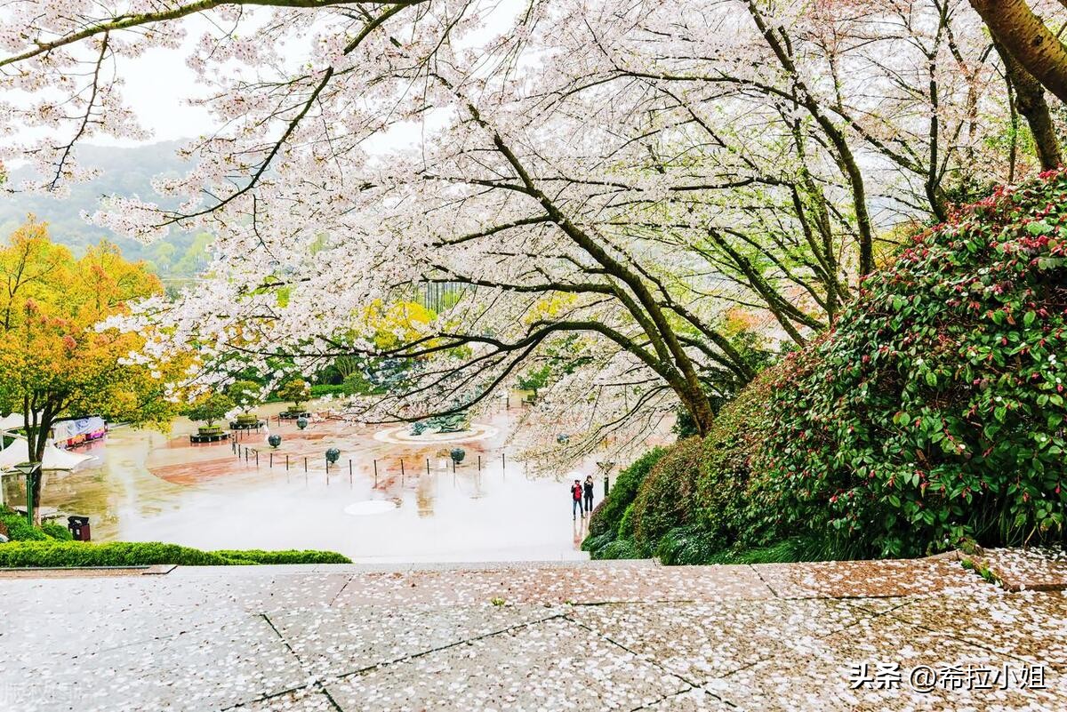 杭州新西湖十景更适合游览哪一景,杭州西湖新十景游玩攻略
