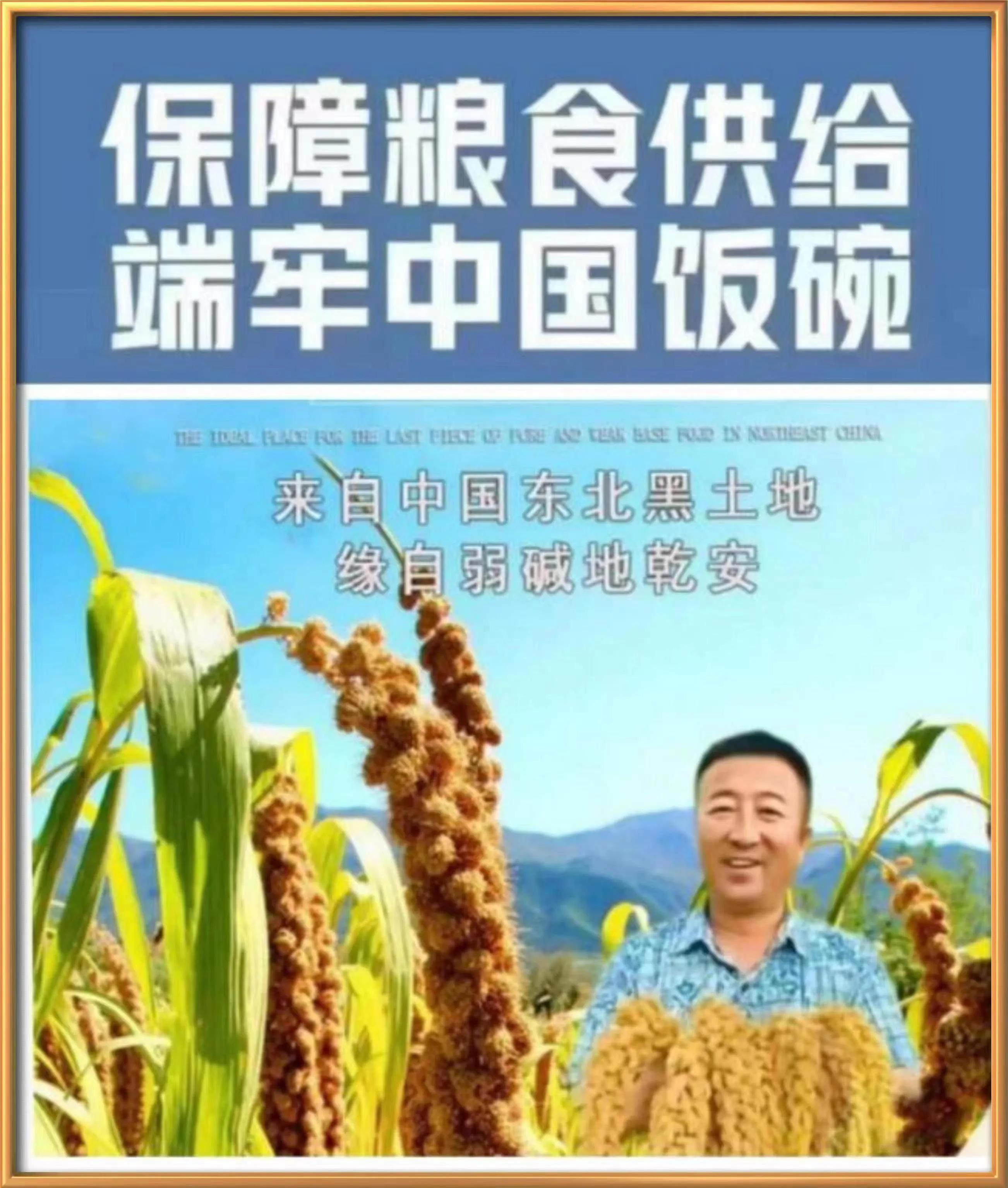 生态种植绿色食品安全放心,绿色农产品与食品安全技术