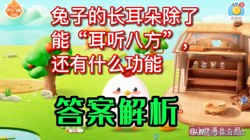 兔子的耳朵长有什么特点,兔子的耳朵除了长有什么特别