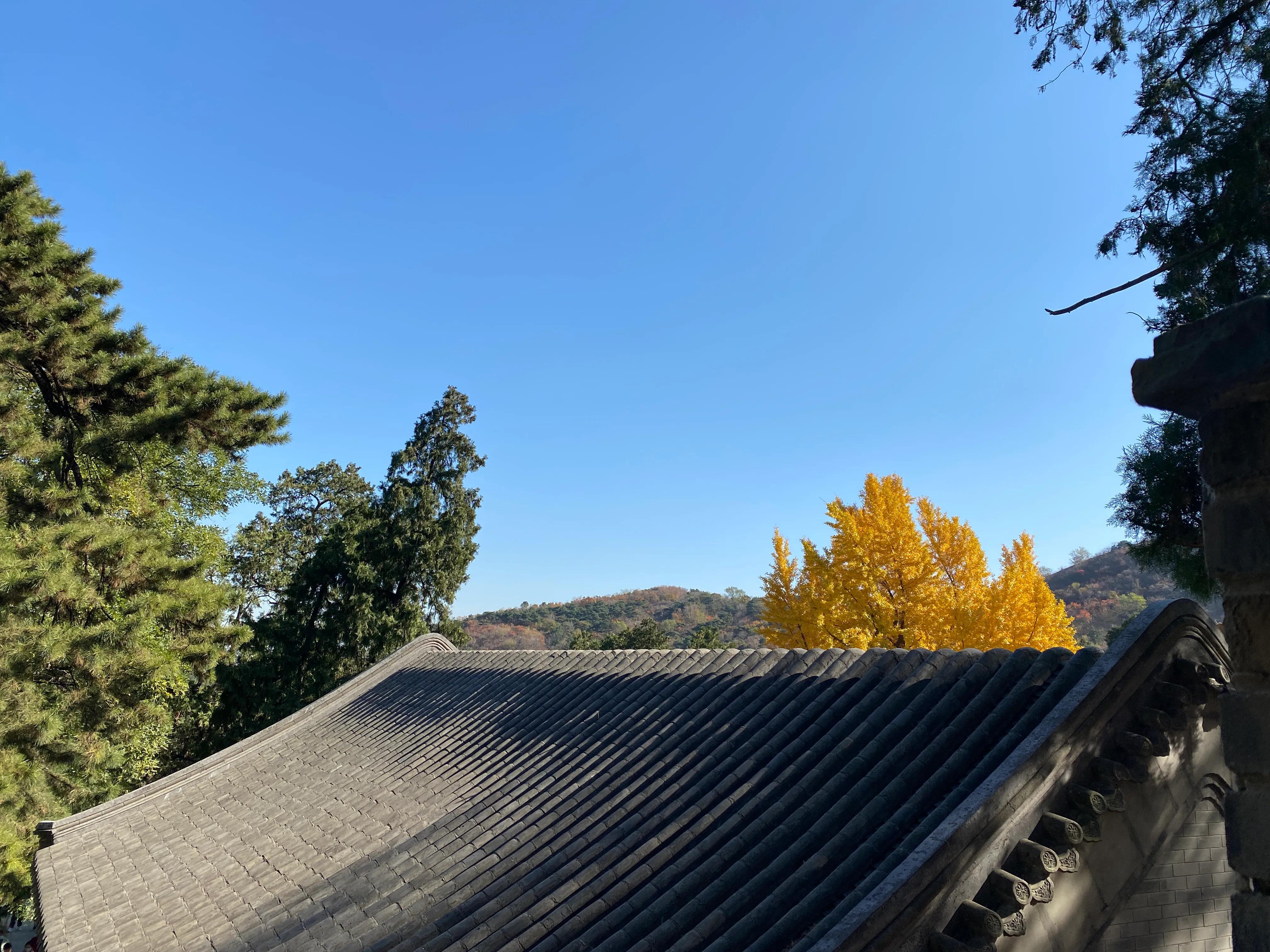 香山风景区打卡攻略,北京香山公园打卡