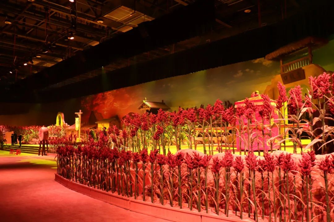 打卡不一样的潍坊，这座宝藏城市有颜又有料！