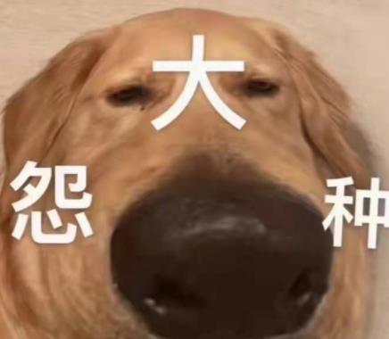 美国单身辣妈网恋假帅哥被威胁p果照！逃脱后遇照片真人甜蜜热恋