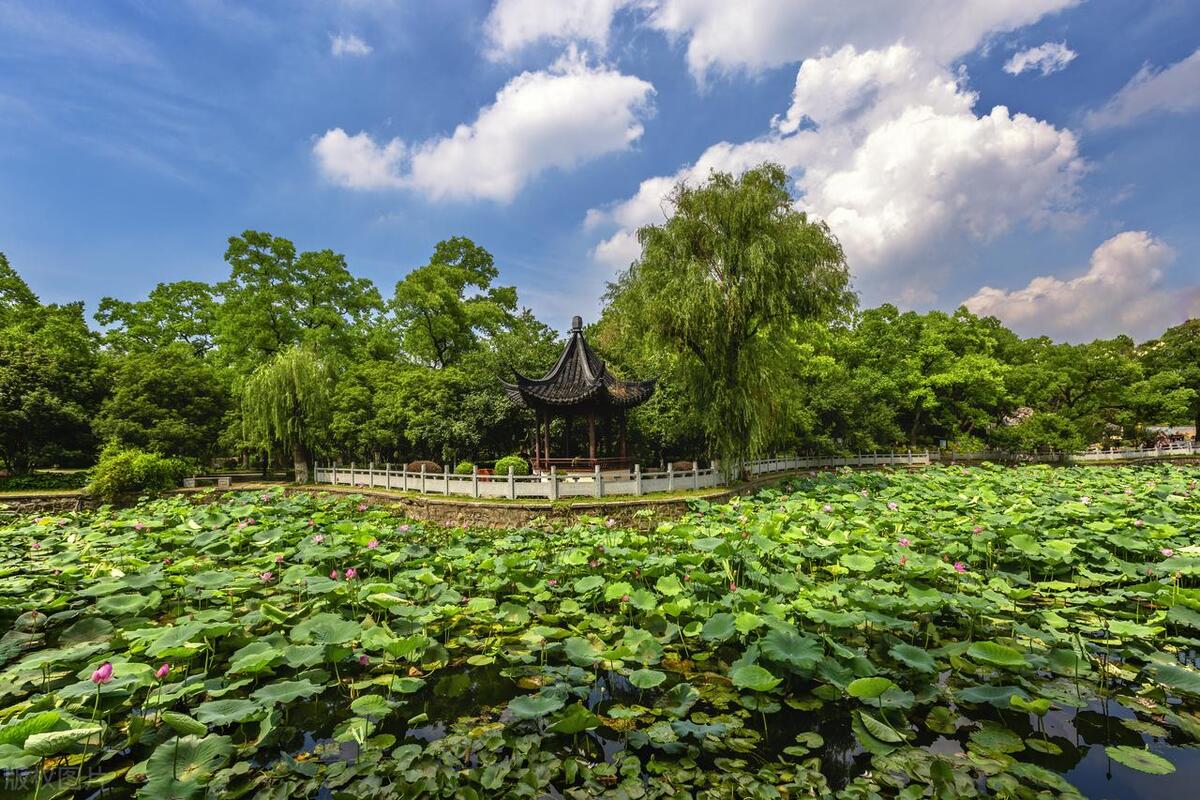 南京值得去的免费景点旅游攻略,南京旅游必去的景点一日游免费