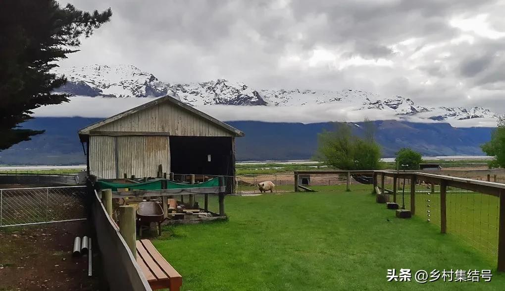 新西兰格伦诺基动物体验农场:一家以动物体验为主题的特色农场