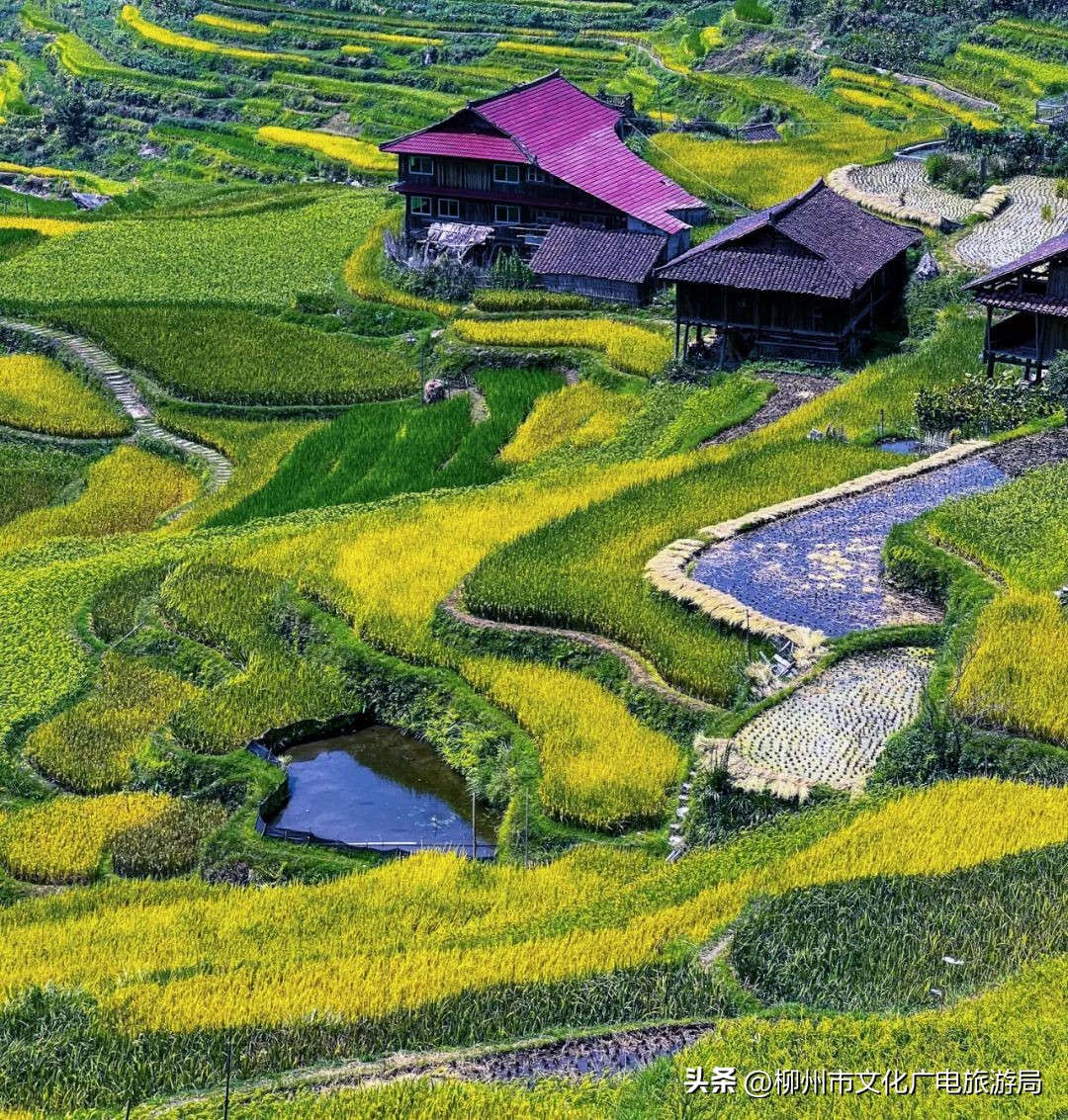 柳州小长假游玩攻略,秋游柳州滨水大道