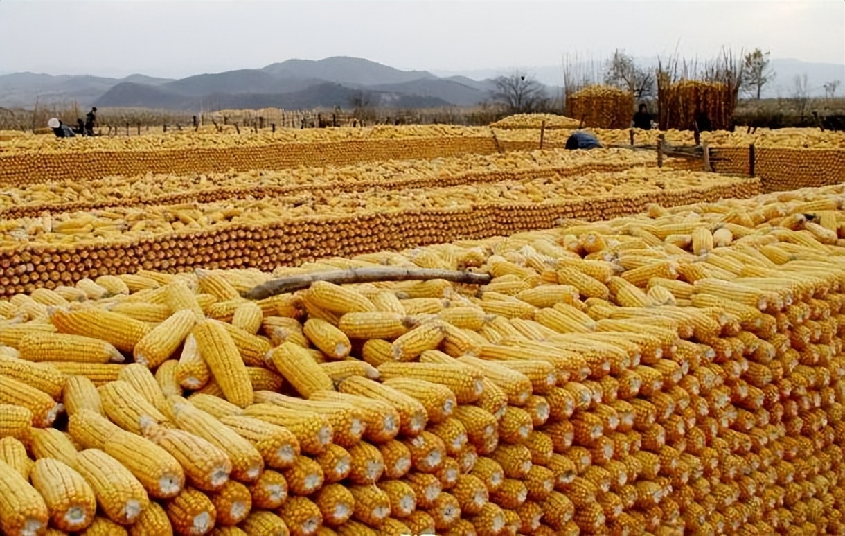 反制美国关税最新消息,反制美国限制技术出口