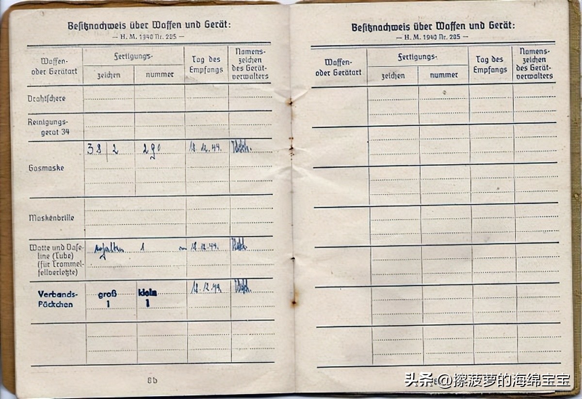 二战时德国军人的肩章,二战德国兵种领章