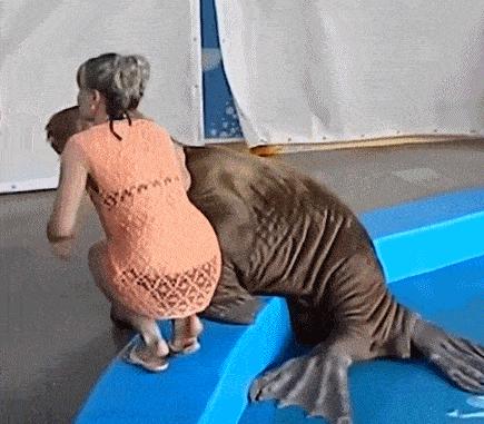 爆笑：以你们的智商，怎么能生意兴隆啊