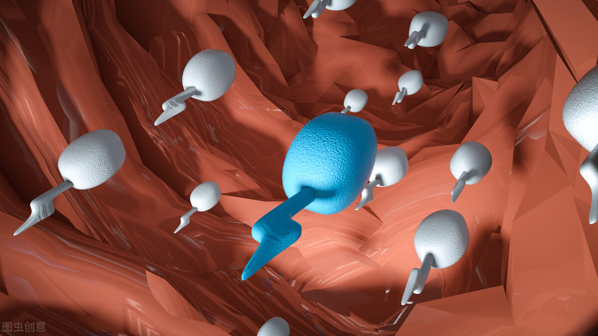 如何看懂精子质量指标,精子的正常颜色和形状