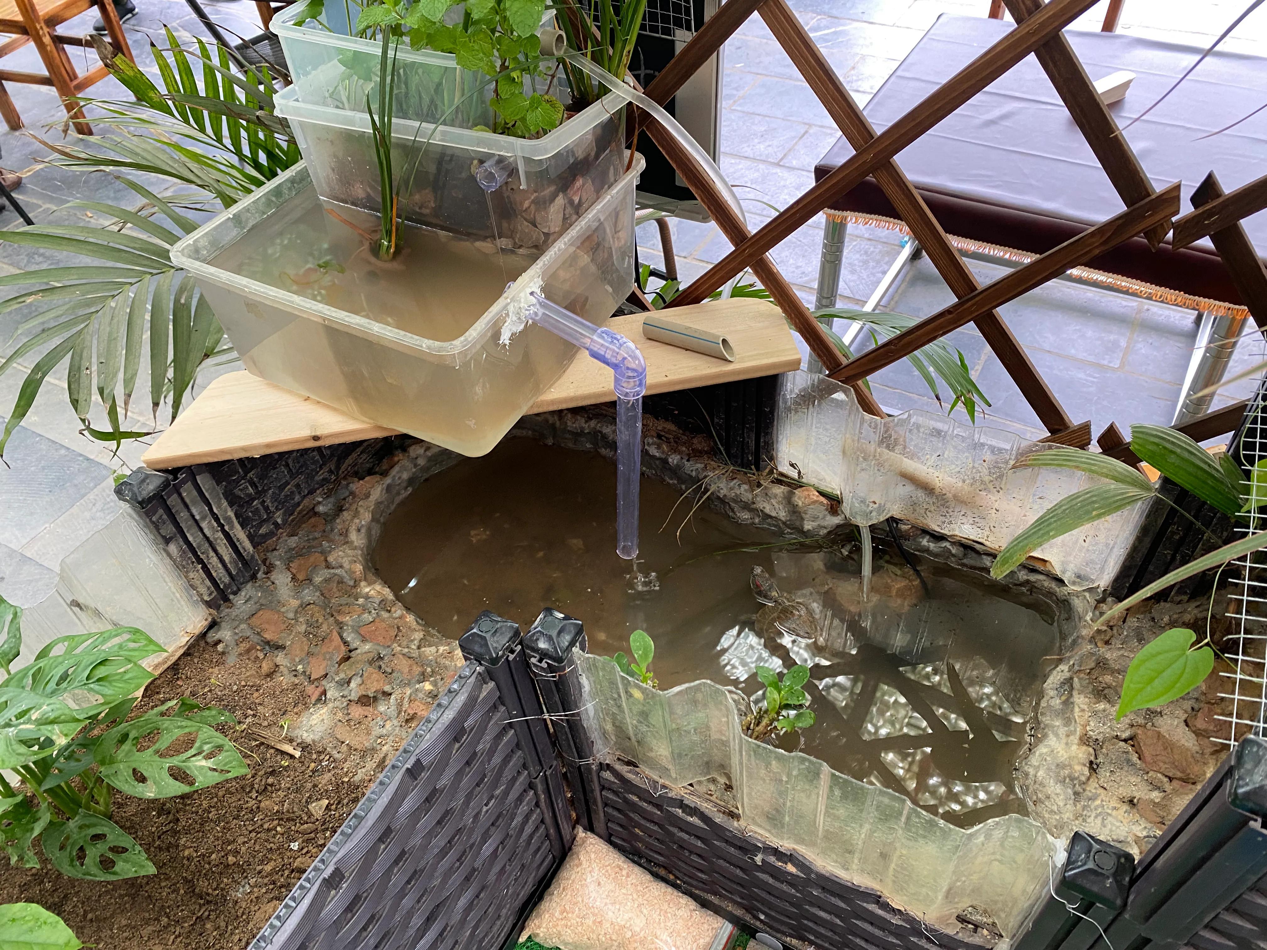 生态八哥鸟笼水循环制作过程,生态画眉鸟鸟笼制作全过程