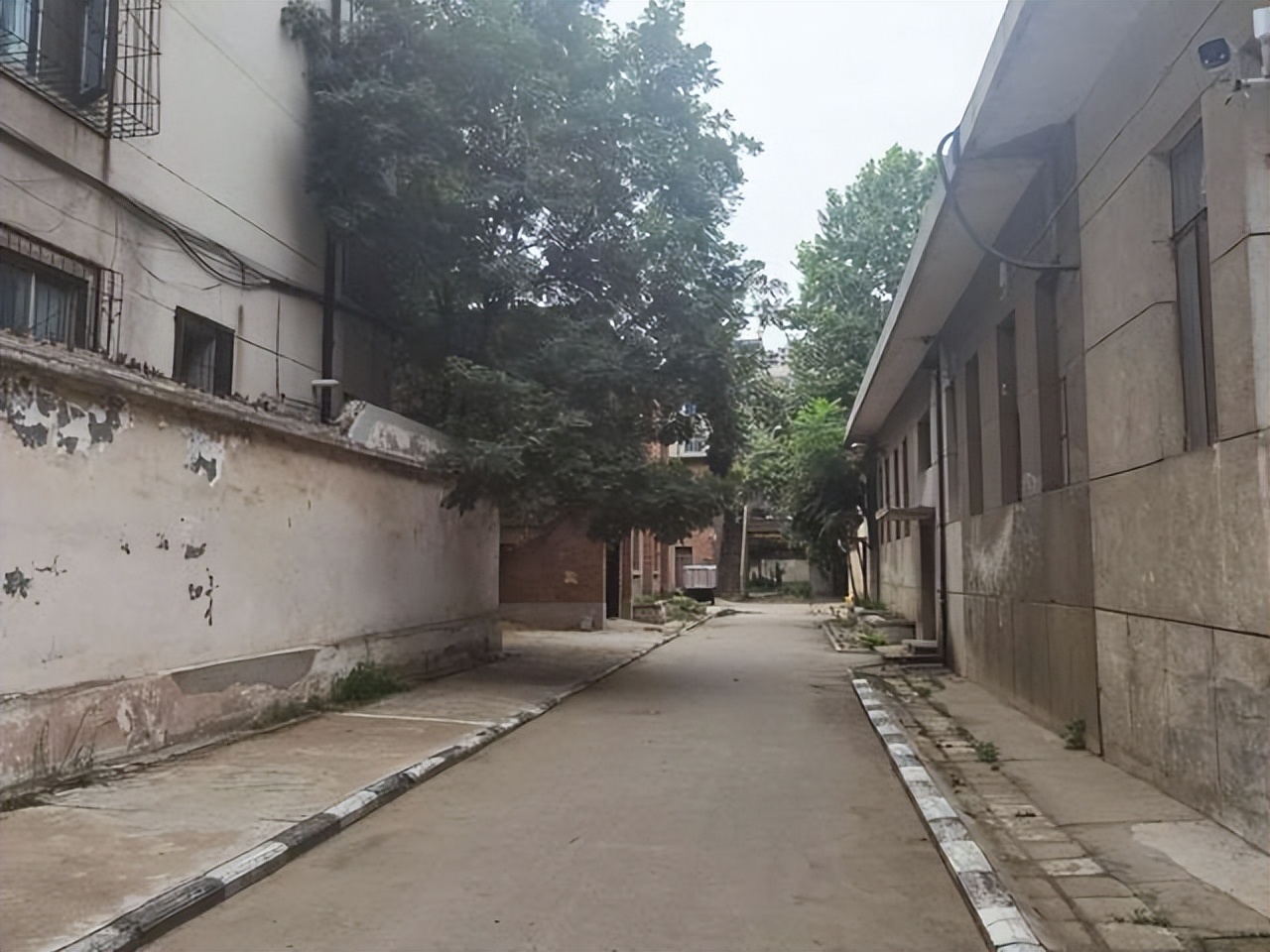 涓笀鐢熺殑鍘嗗彶鍥炲繂,涓笀鐢熷洖蹇嗗綍鍏ㄦ枃