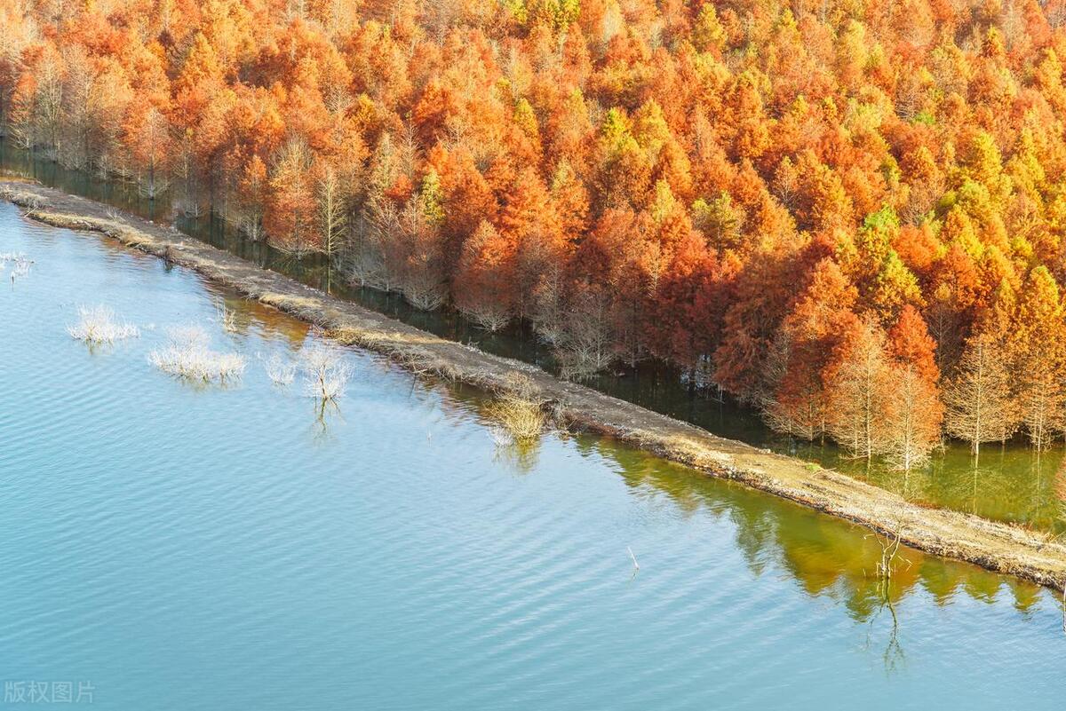 进项税留抵确定不退税在哪里操作,增值税进项税额准予抵扣口诀