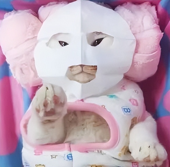 雅萌MAX美容仪,雅萌美容仪怎么样