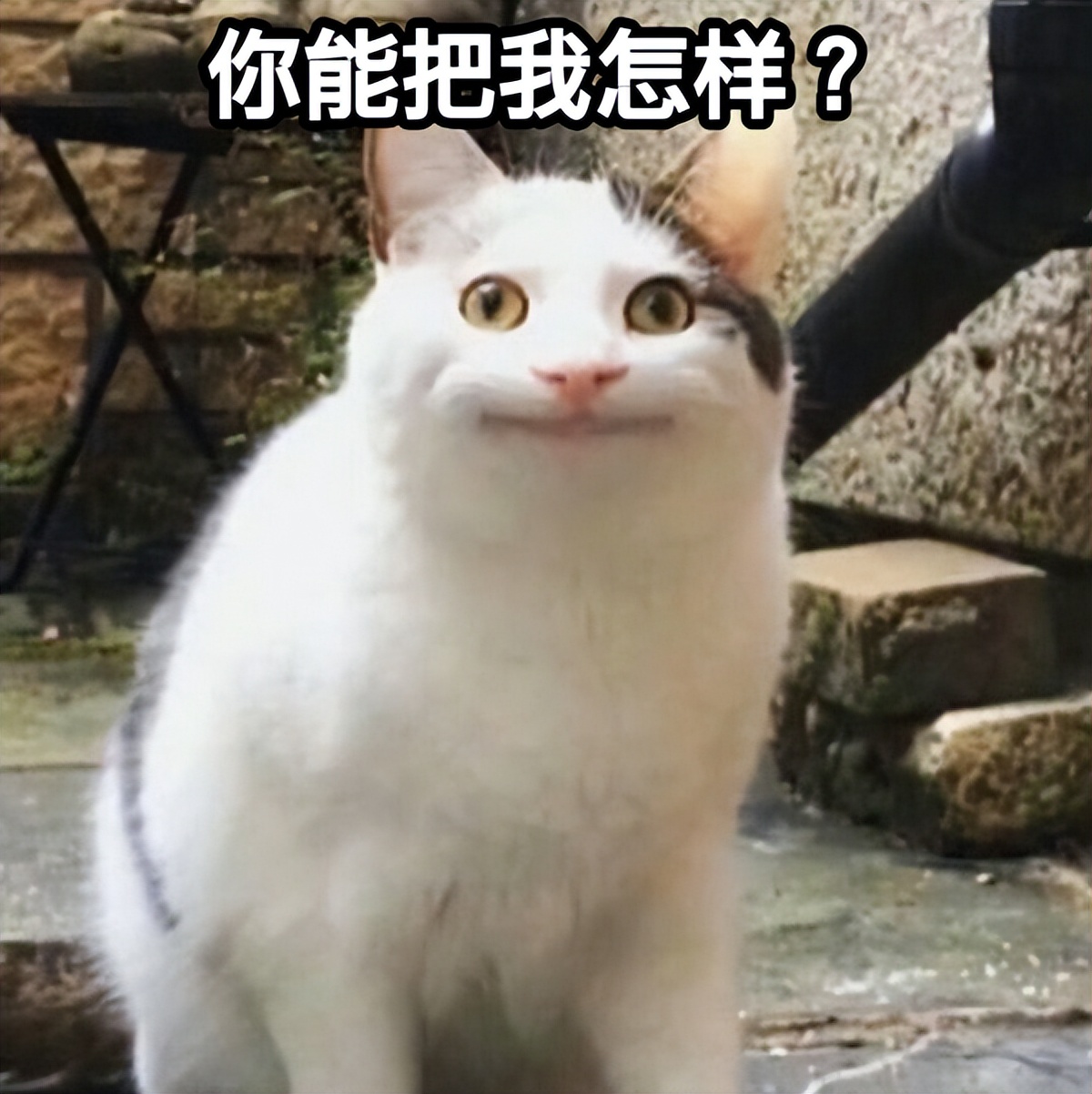 vivo和腾讯打官司谁赢了,腾讯起诉vivo看法