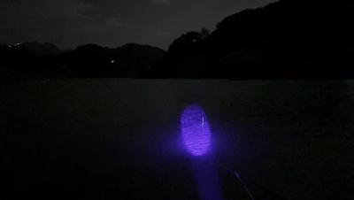 2020万峰湖野钓大罗非,万峰湖陇纳村野钓大罗非