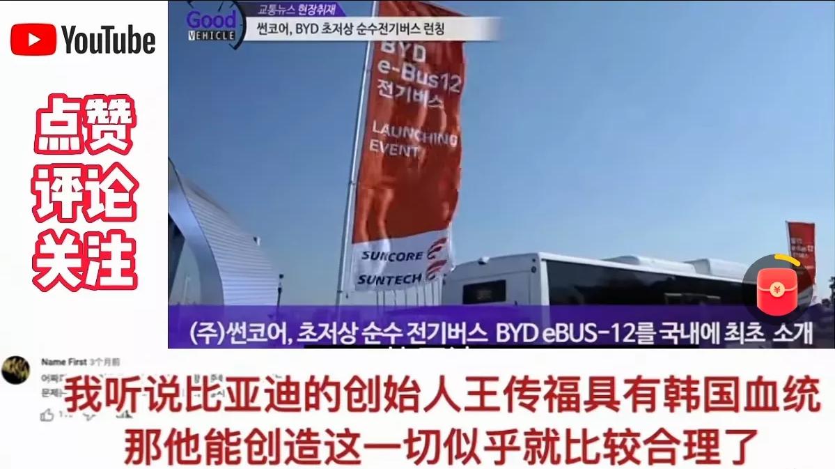 韩国特斯拉与比亚迪,比亚迪进入韩国了吗