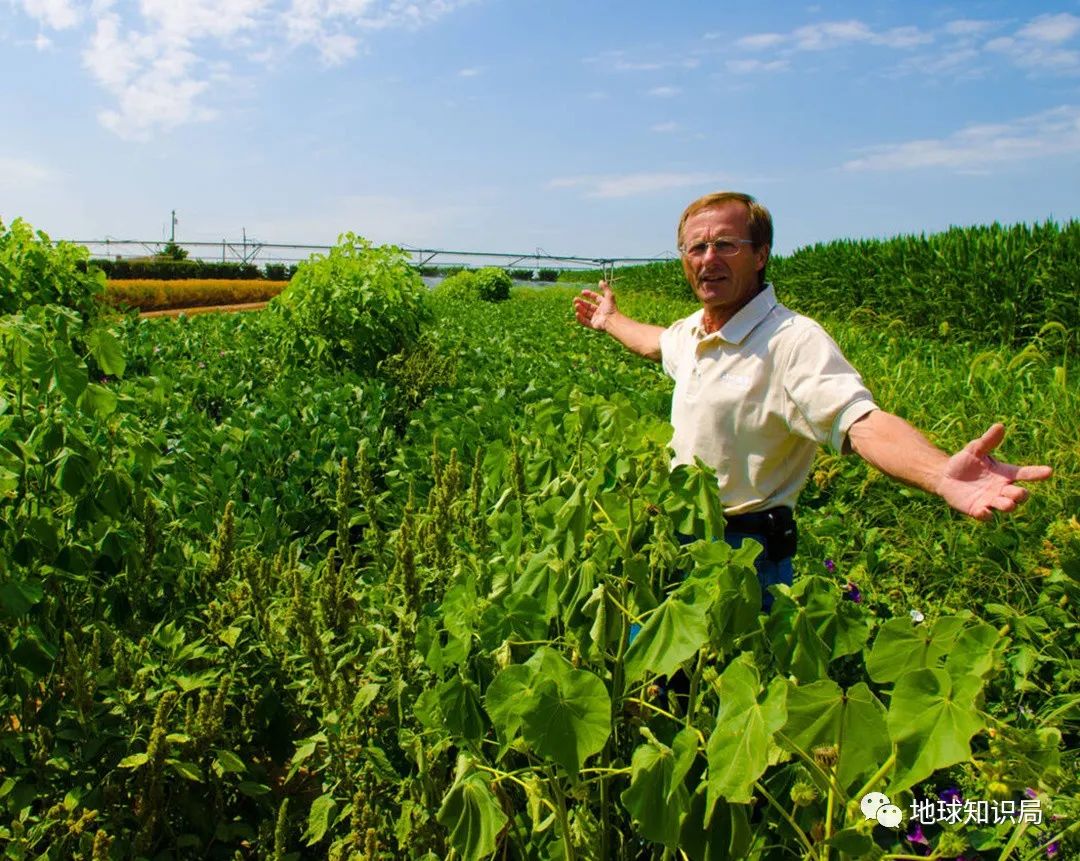 德国，再苦一苦自己|地球知识局