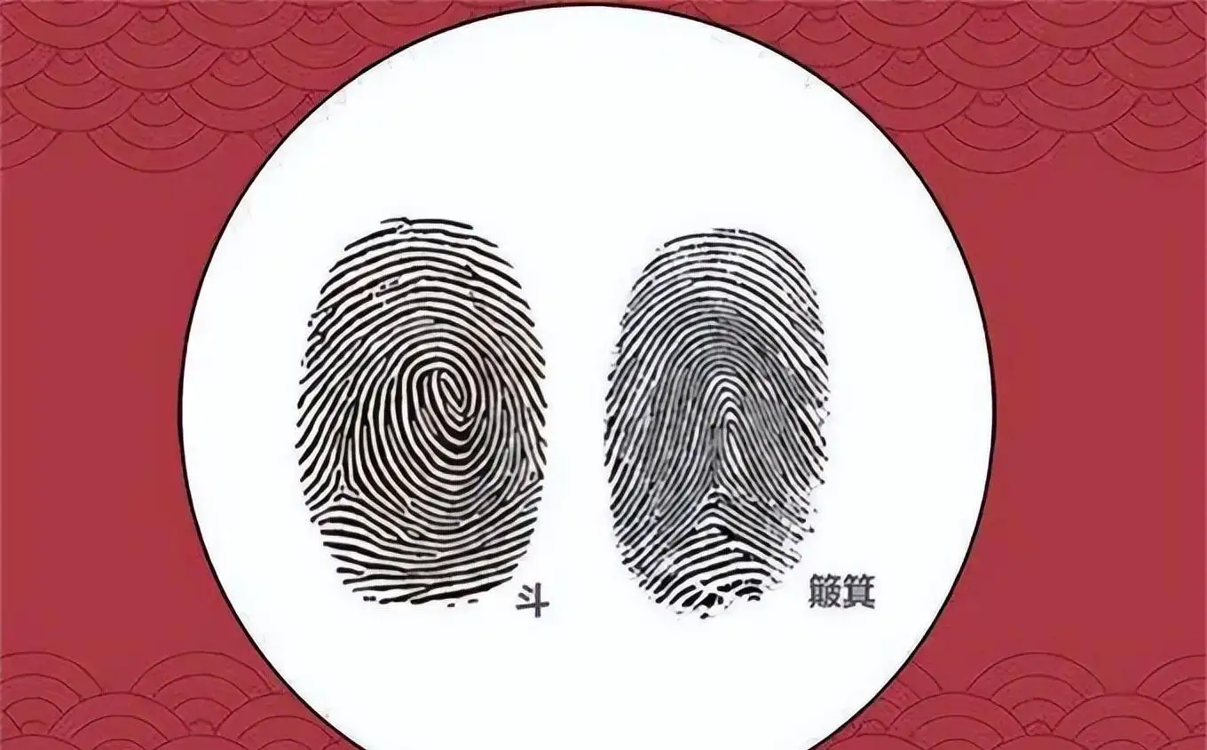 指纹上的簸箕和斗是什么意思,指纹的斗和簸箕
