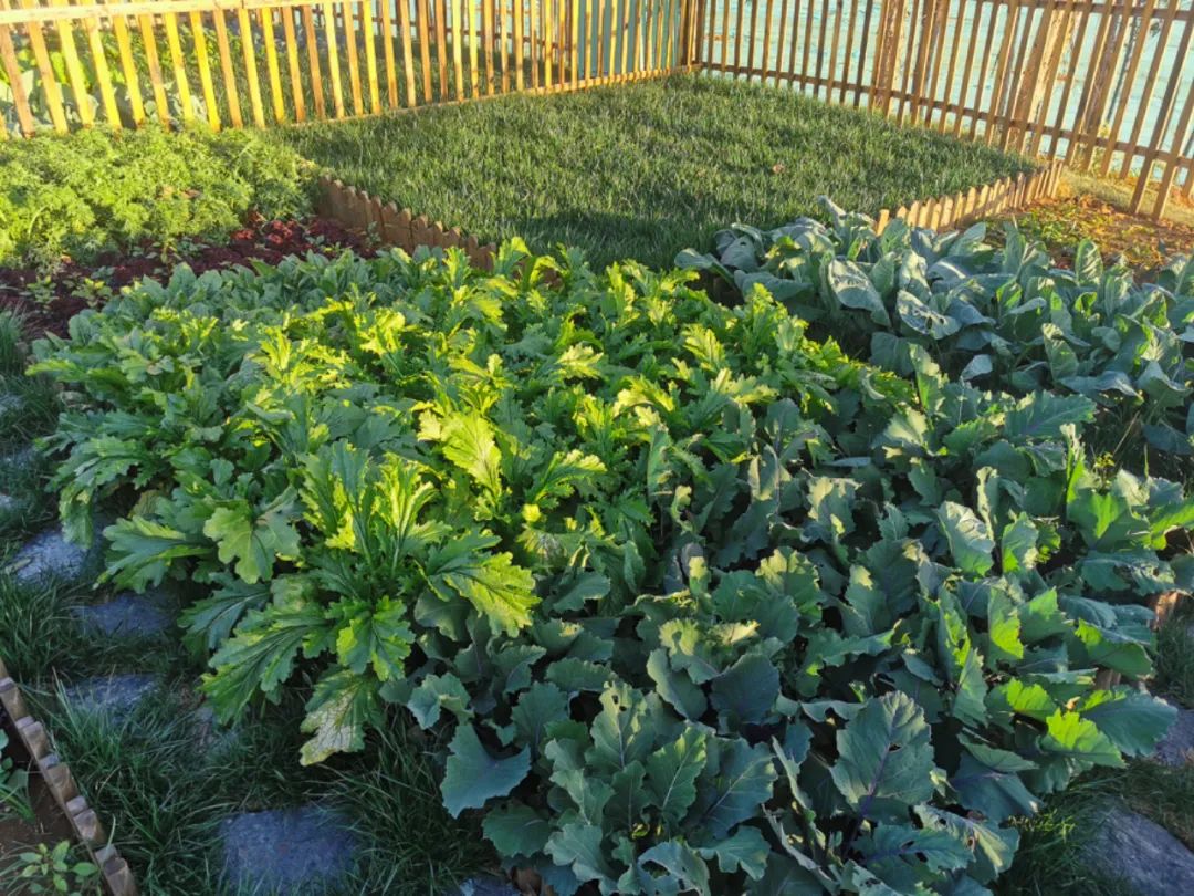 在休闲度假区有什么项目可操作,快来看看哪些项目更受欢迎