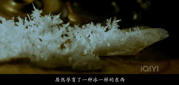 惟有香如故纪录片在哪里可以观看,惟有香如故纪录片完整版在线观看