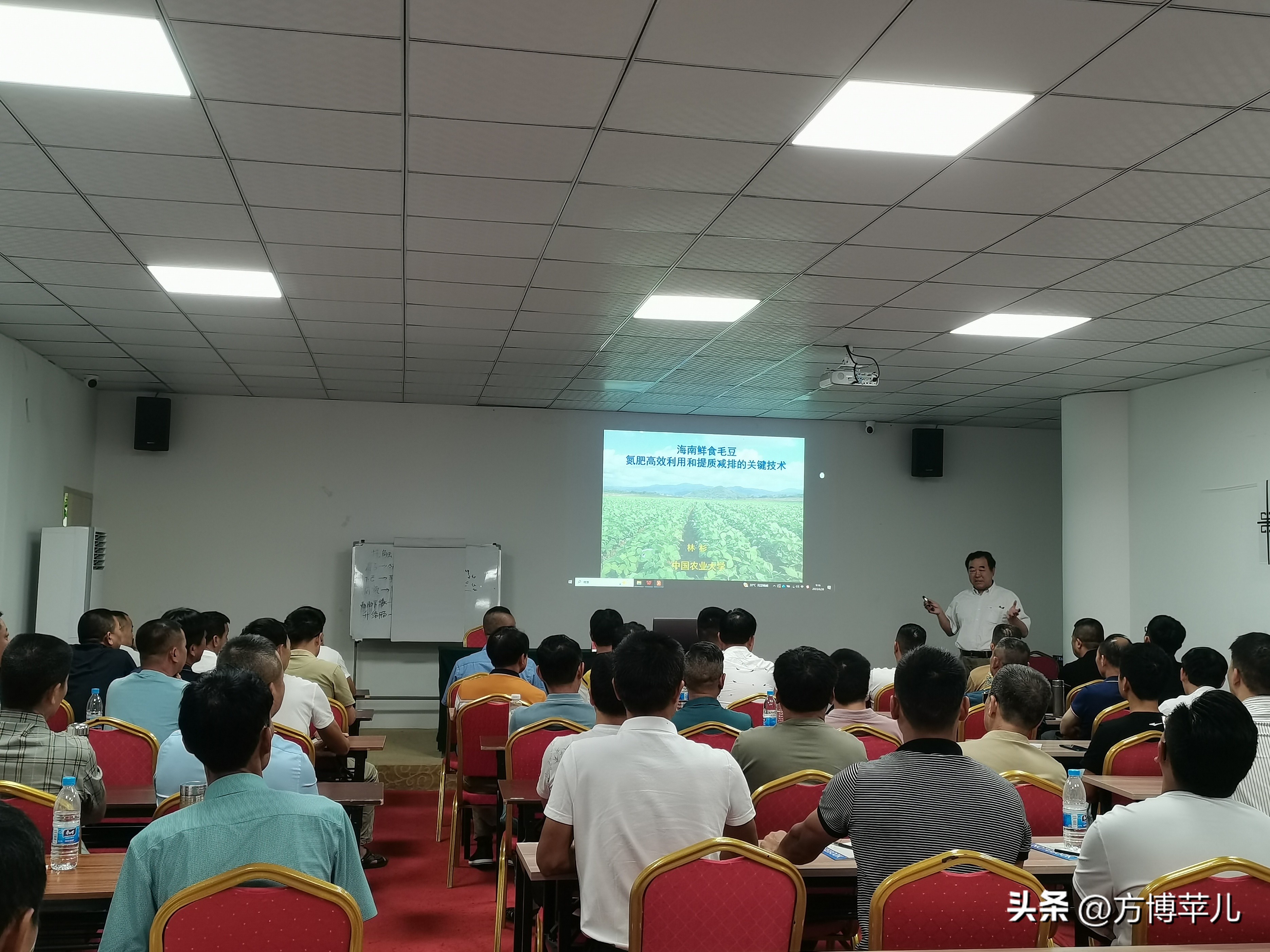 70后乡村振兴新农人,新农人2024年乡村振兴