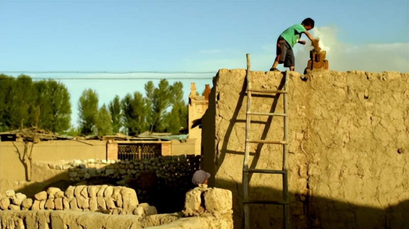 李睿珺电影创作概述,李睿珺对生命的意义