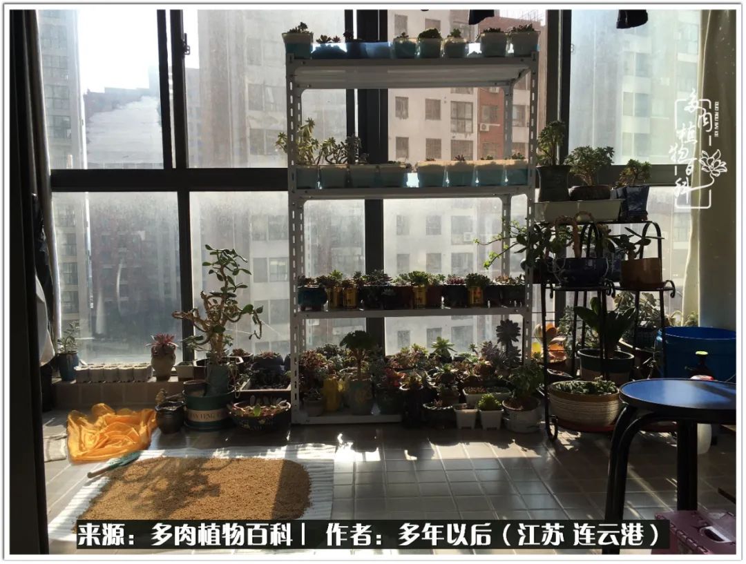 我若不弃，愿你不负我所期