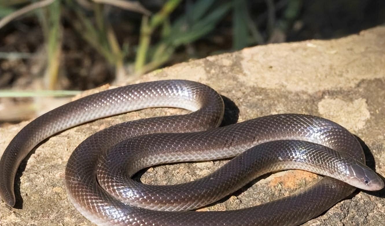 谁也不服谁都使出了自己的绝招,谁也不服前一句