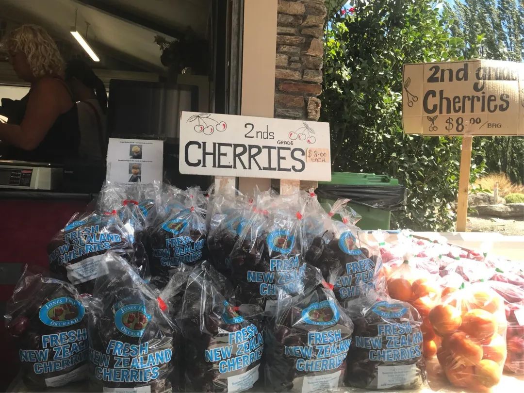 写给不被疫情束缚的心:用文字“云”游新西兰全境