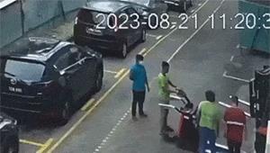 我真的很好奇原版,我真的很好奇男生版