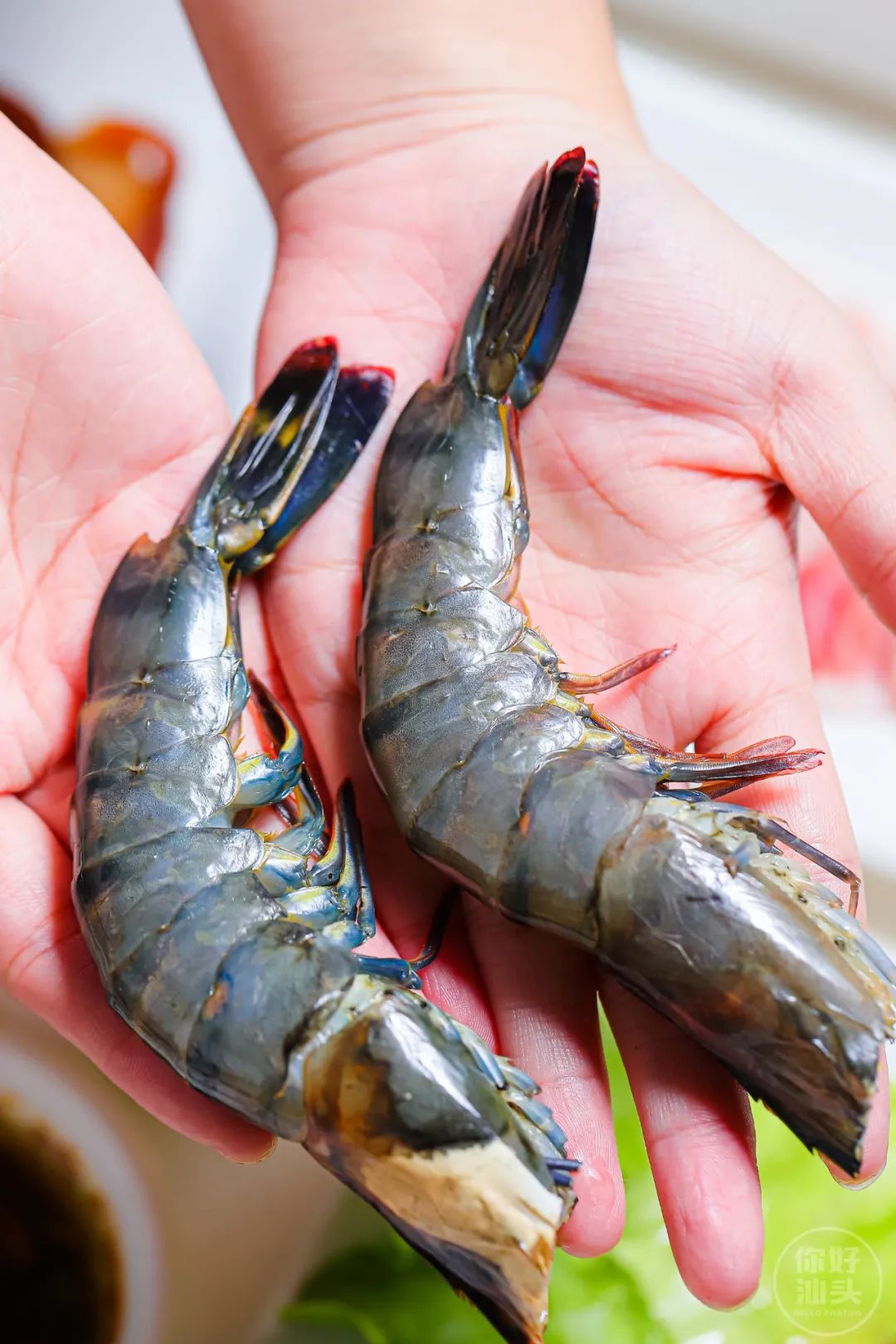 牛哇!汕头这家老店凭一锅祖传卤水,惹得天天向上和蔡澜也来采访