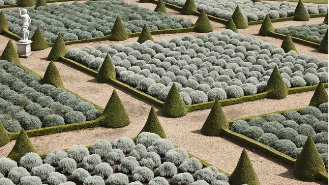 那些被我们忽略的风景,球球景观