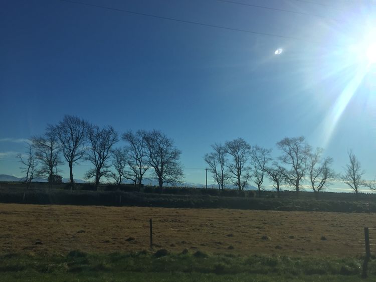 在新西兰如何找到南十字星,新西兰看南十字星