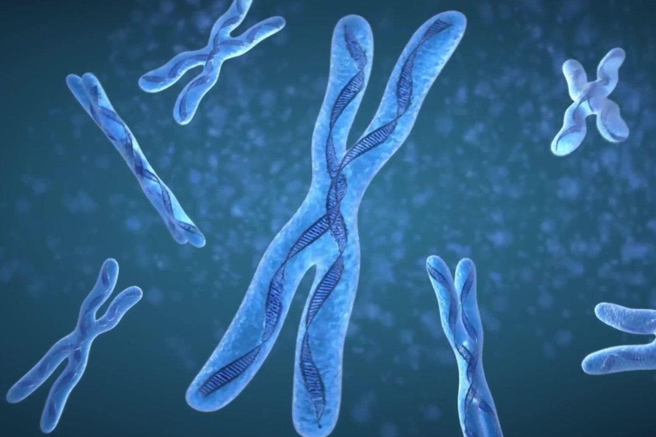 天生没有指纹的人是怎么回事,天生无指纹的人