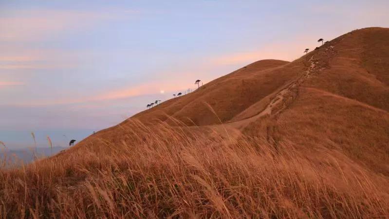 文言文翻译重点实词汇编,中考文言文实词翻译题