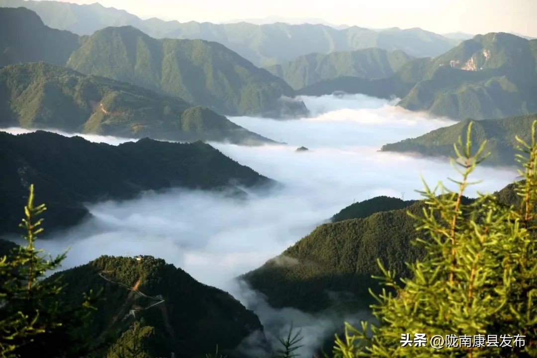 全市三抓三促十大举措,三抓三促推动党建走深走实